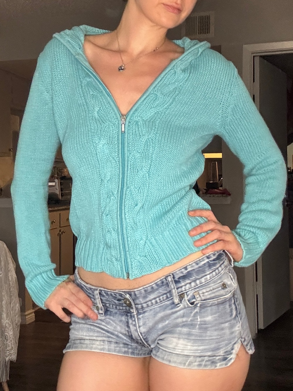 Harold's Aqua Cable-Knit Zip Hoodie Sweater